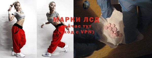 мяу мяу мука Няндома