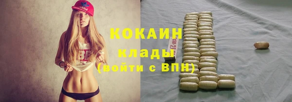 мяу мяу мука Няндома