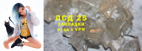 прущие грибы Долгопрудный