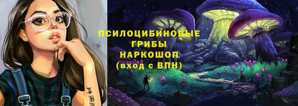 гидропоника Нягань