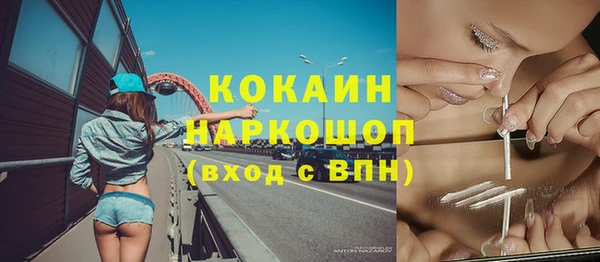 мяу мяу мука Няндома