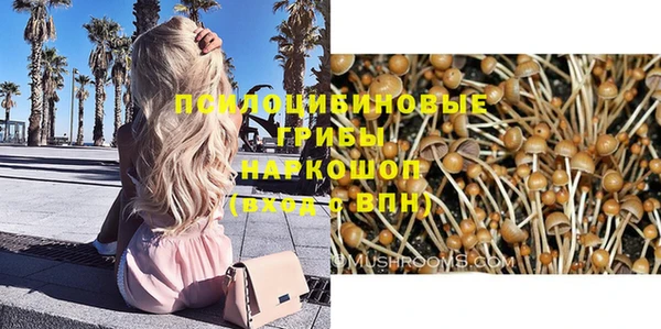 гидропоника Нягань