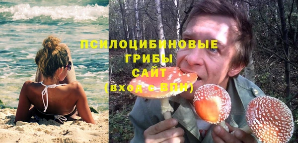мяу мяу мука Няндома
